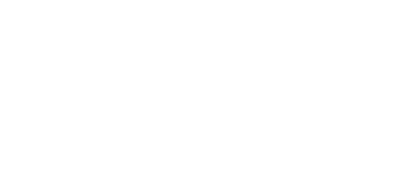 Dobler-holzbau-Logo-weiss